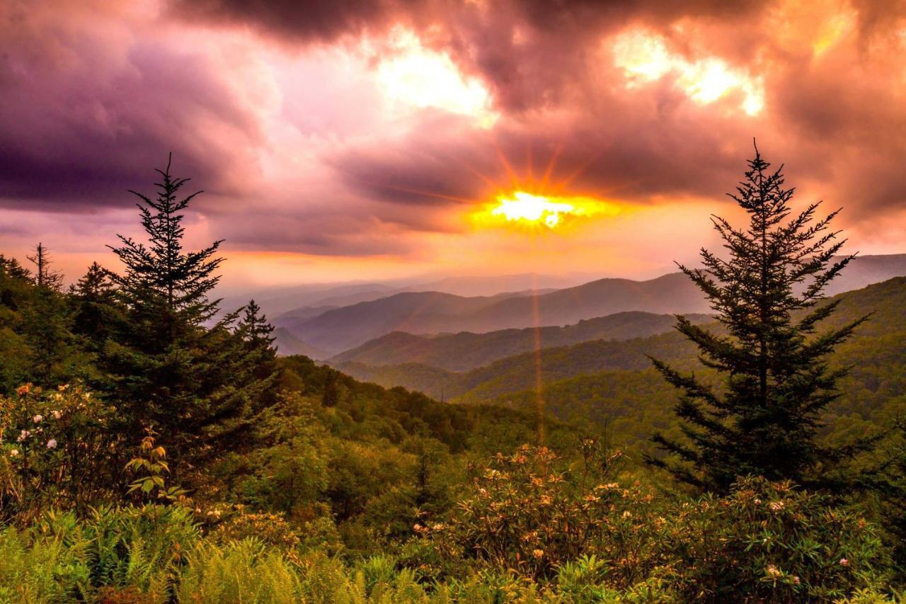 Heavenly Bearadise Cabin In Cashiers, Nc! Kültér fotó