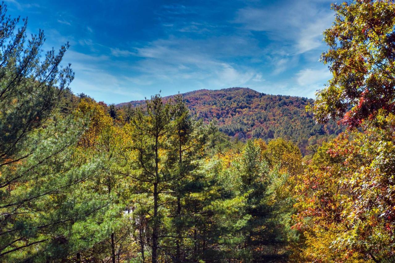 Heavenly Bearadise Cabin In Cashiers, Nc! Kültér fotó